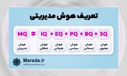 هوش مدیریتی در یک مدیر خوب