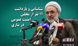 شناسایی و بازداشت ۱۱ نفر از مخلین امنیت عمومی در ساری