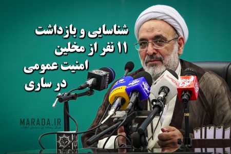 شناسایی و بازداشت ۱۱ نفر از مخلین امنیت عمومی در ساری
