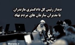 گزارش سازمان های مردم نهاد و دیدبانان مردمی، عرصه را بر مفسدان تنگ و نا ایمن می کند