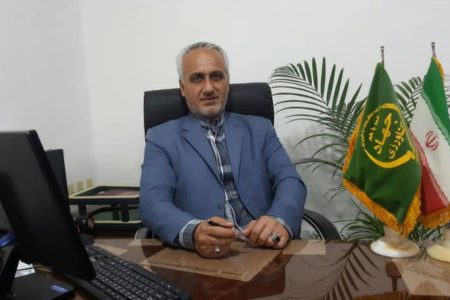 تولید بیش از ۲۱ هزار تن ذرت علوفه ای در میاندورود