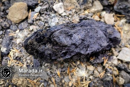 آثار محیطی باطله های زغال سنگ البرز مرکزی