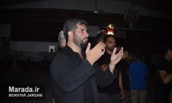 عزاداری شب بیست و دوم محرم سورک