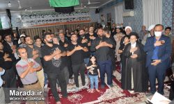مراسم عزاداری شب بیستم محرم شهر سورک