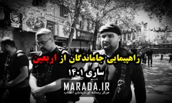 راهپیمایی جاماندگان از اربعین حسینی در شهر ساری