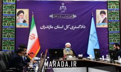 تاکید رئیس کل دادگستری استان بر نقش مهم و تاثیر گذار شرکت های بیمه در کاهش ورودی پرونده ها