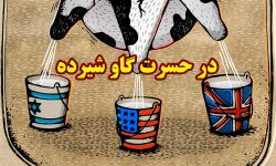 در حسرت گاو شیرده