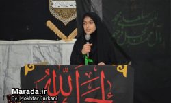 پیاده روی عهد فاطمی در ویژه برنامه بانوی بی نشان شهر سورک
