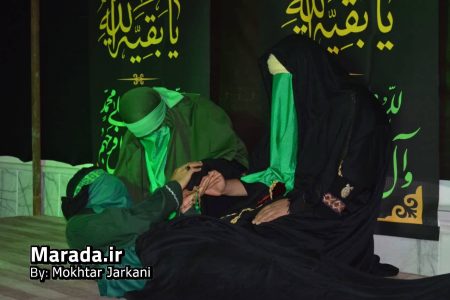 عهد فاطمی در ویژه برنامه بانوی بی نشان شهر سورک / تصاویر