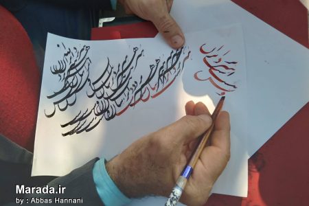 خوشنویسی به بهانه نوروز در بوستان ولایت ساری / تصاویر