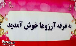 بازارچه خیریه استقبال از نوروز ۱۴۰۱ در ساری