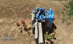 عید مردگان در روستای ولویه علیا چهاردانگه ساری همراه با افتتاح گلزار پنج مزاری شهدا