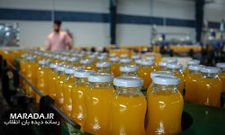 دستاوردی شیرین با سرمایه گذاری در صنعت نوشیدنی