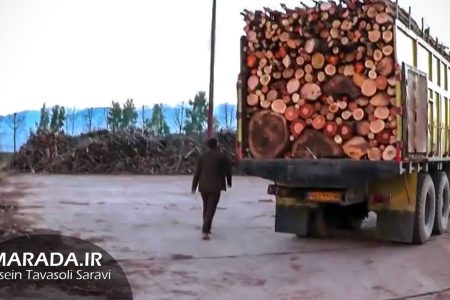 کشف کامیون قاچاق چوب در نظارت میدانی قرارگاه صیانت از منابع طبیعی مازندران / ویدئو