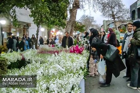 نظارت میدانی فرماندار ساری بر بازار شب عید / ویدئو