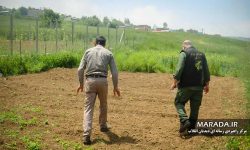 محرومیت زدایی از روستاهای مازندران الگویی برای پیشرفت و آبادانی
