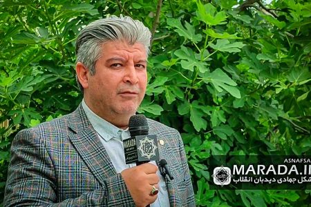 مشارکت در انتخابات از نگاه رئیس صنف چلوکبابی رستوران و تالارهای پذیرایی ساری / ویدئو