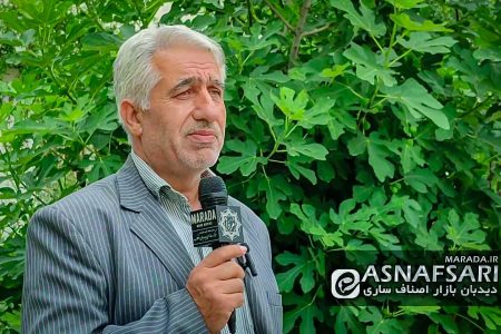 حمایت اصناف و بازاریان از مشارکت حداکثری در انتخابات / ویدئو صنف آموزشگاه های رانندگی