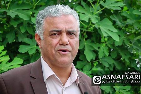 انتخابات از نگاه رئیس صنف خوار بار و لبنیات ساری / ویدئو