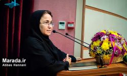 چهاردهمین آیین هفته فیلم و عکس مازندران