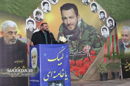 یادواره شهدای روستای برگه با محوریت سالگرد شهید مدافع حرم محمد معافی / عکس