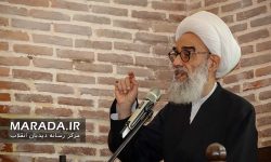 حفظ حرمت اماکن مذهبی با رعایت حجاب / مفهوم بسیج از صدر اسلام تا کنون